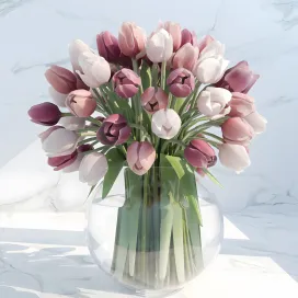 Tulips
